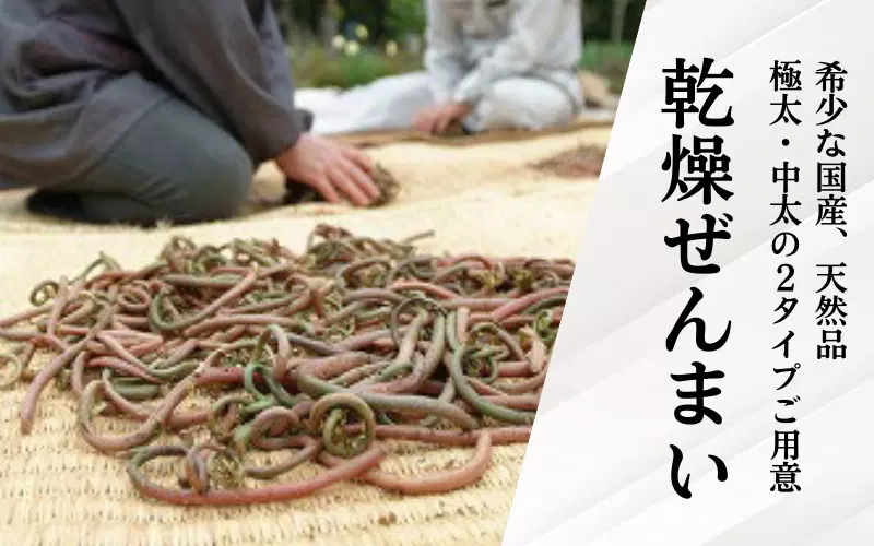 ”ぜんまい”