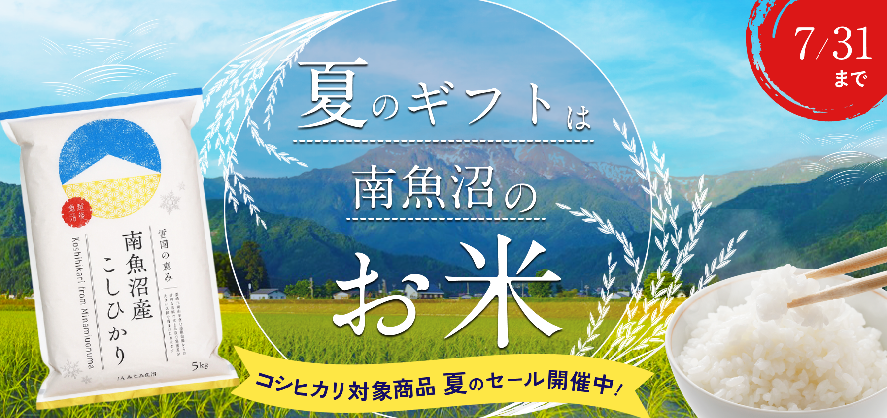 【引取り可能な方限定】コシヒカリ 苗 31枚 魚沼コシヒカリ発祥の地・南魚沼産コシヒカリをお取り寄せ！米の定期便