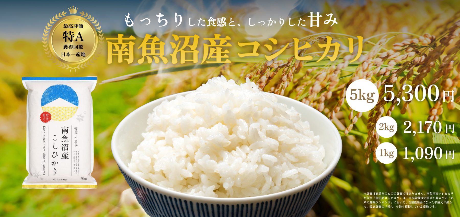 koshihikari