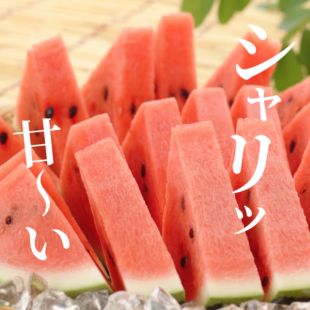 数量限定】八色西瓜（やいろすいか）大玉サイズ 2玉入 | 魚沼