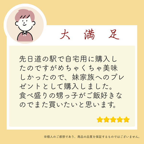 こゆきさま専用(2/25まで）♡夏用水流模様袋帯 南魚沼産味くらべセット（こしひかり・新之助）【金曜出荷限定