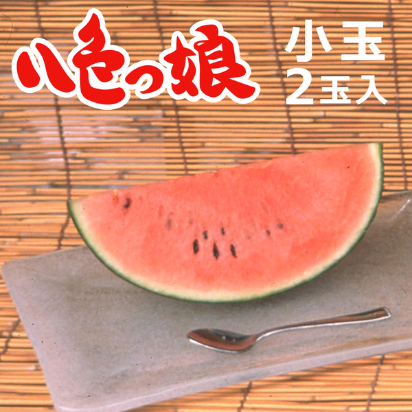 【数量限定】八色っ娘（やいろっこ）小玉西瓜  2玉入