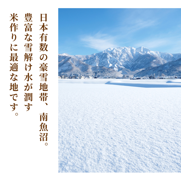 【すぐにお届け・7年産】南魚沼産こしひかり 精米（1kg・2kg・5kg）の商品画像 3