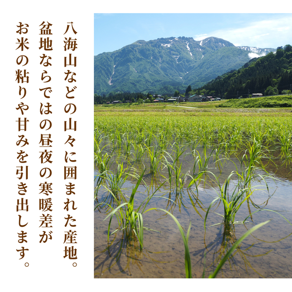 【すぐにお届け・7年産】南魚沼産こしひかり 精米（1kg・2kg・5kg）の商品画像 4