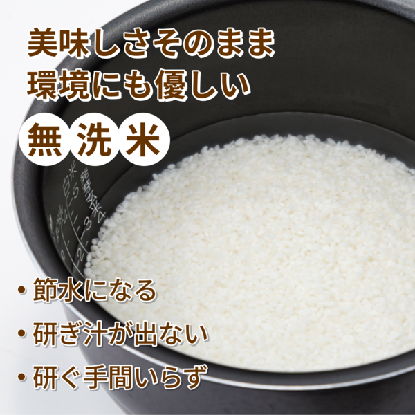 【翌週金曜発送・7年産】【 無洗米 】南魚沼産こしひかり 精米（2kg・5kg）の商品画像 2