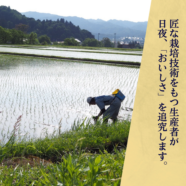 【すぐにお届け・7年産】特別栽培米 南魚沼産こしひかり 「雪穂」 精米（2kg・5kg）の商品画像 6