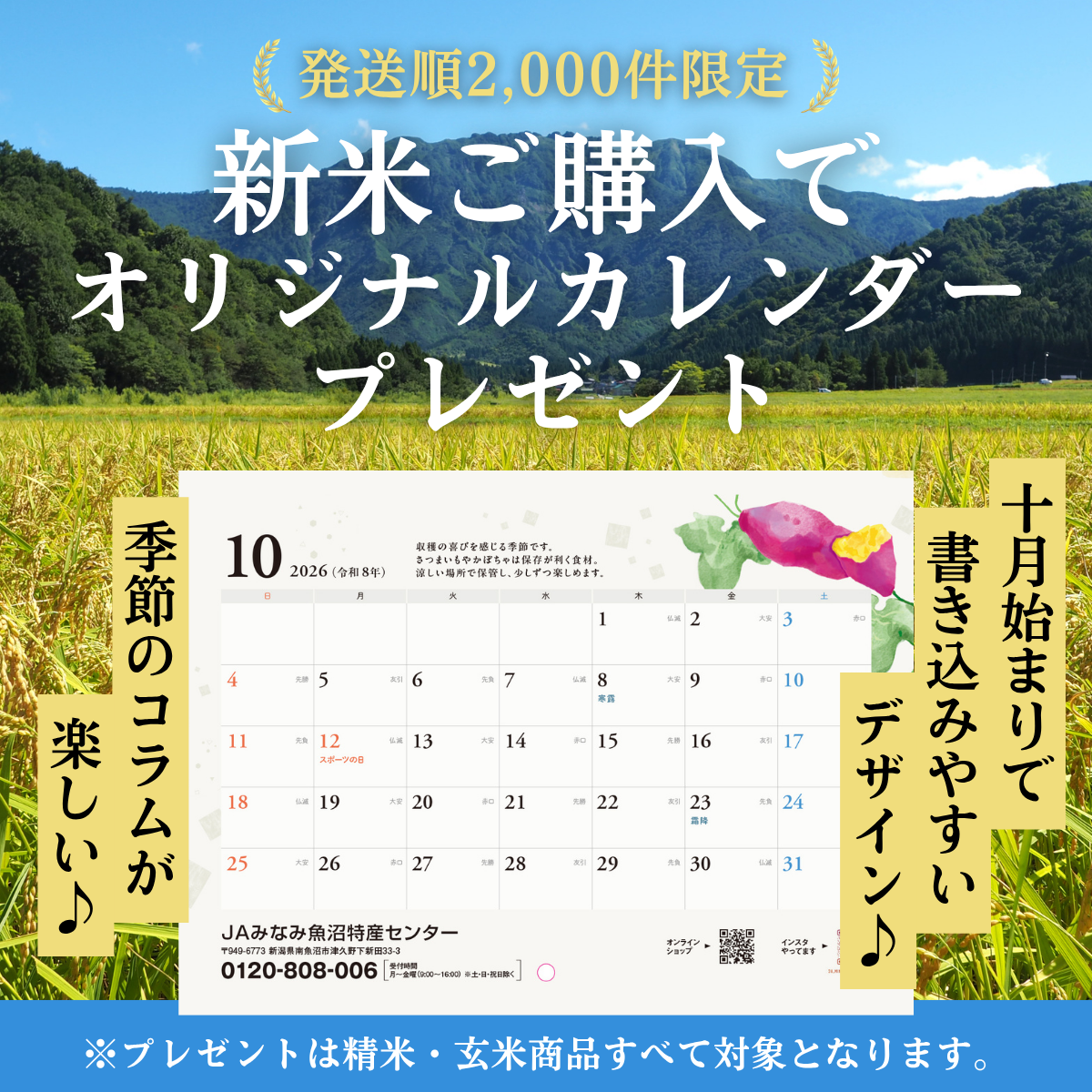 【新米予約・8年産】南魚沼産こしひかり 精選玄米 30kg【9月25日発送開始】　の商品画像 3