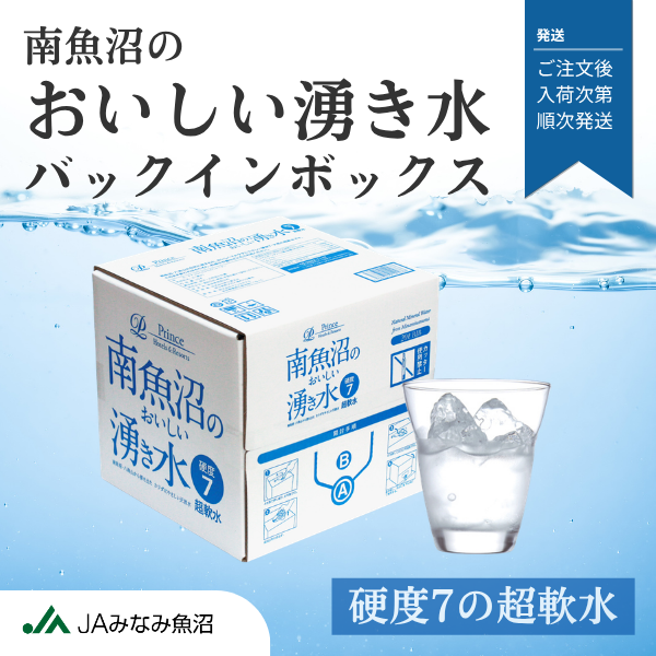  南魚沼のおいしい湧き水（バックインボックス）の商品画像 1