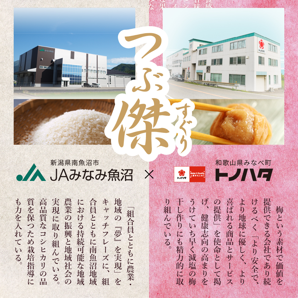 名無しの権兵衛※必ずプロフ参照※様追熟梅10キロクール便