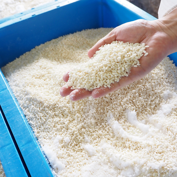 こしひかりみそ | 【お歳暮冬ギフト】魚沼コシヒカリ発祥の地・南魚沼