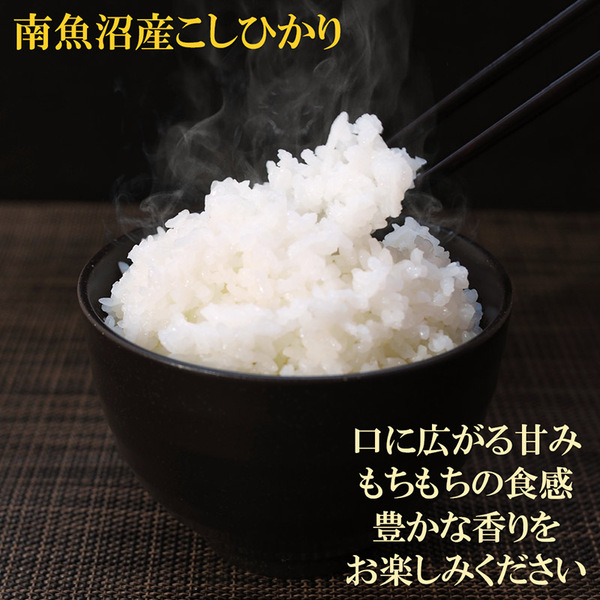 東京国立博物館コラボパッケージ 南魚沼産こしひかり 小袋 300g(2合