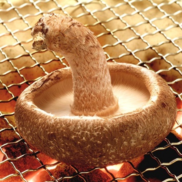 八色しいたけ | 【お歳暮冬ギフト】魚沼コシヒカリ発祥の地・南魚沼