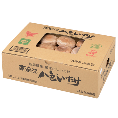 八色しいたけ | 【お歳暮冬ギフト】魚沼コシヒカリ発祥の地・南魚沼