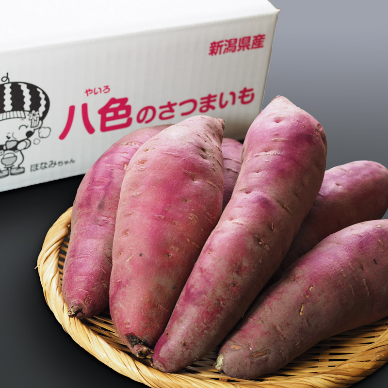 さつまいも1.jpg