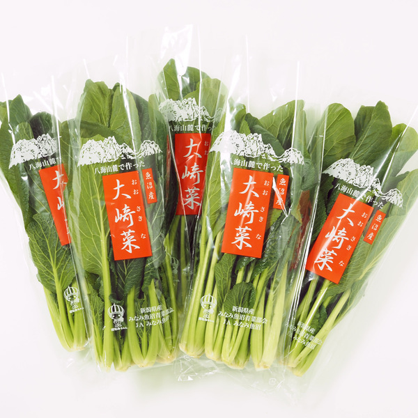 3月発送限定】南魚沼の伝統野菜 大崎菜 | 魚沼コシヒカリ発祥の地
